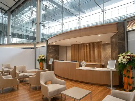 Established Medical Tourism