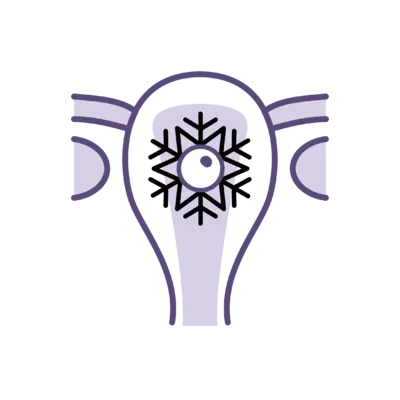 Frozen Embryo Transfer