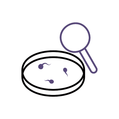 Sperm Analysis & Testing in Thailand: Cost, Top Specialists & Hospitals