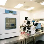 IVF & Assisted Reproduction