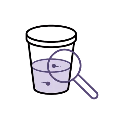 Male Fertility Assessment