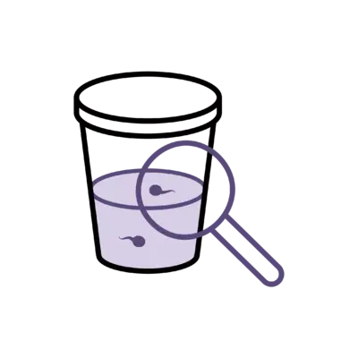 Male Fertility Assessment