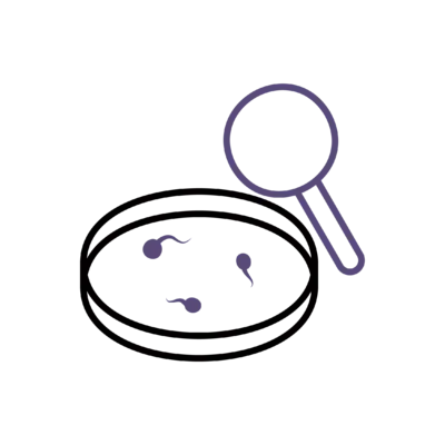 Sperm Analysis & Testing